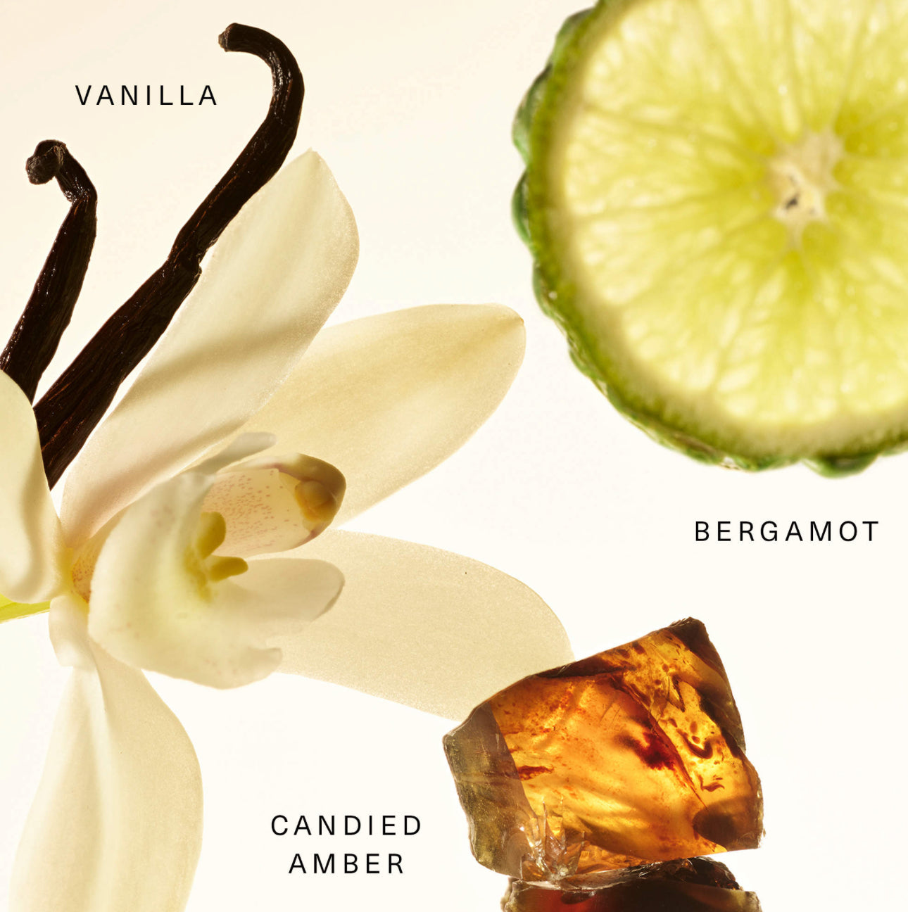 Rare Beauty Fragrance Layering Balm